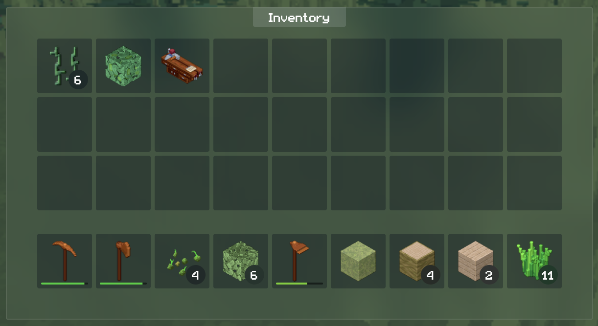 player inventory